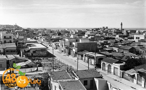 yaffa old pcur (10).jpg